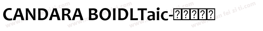 CANDARA BOIDLTaic字体转换